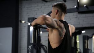 High Row - Back Exercise